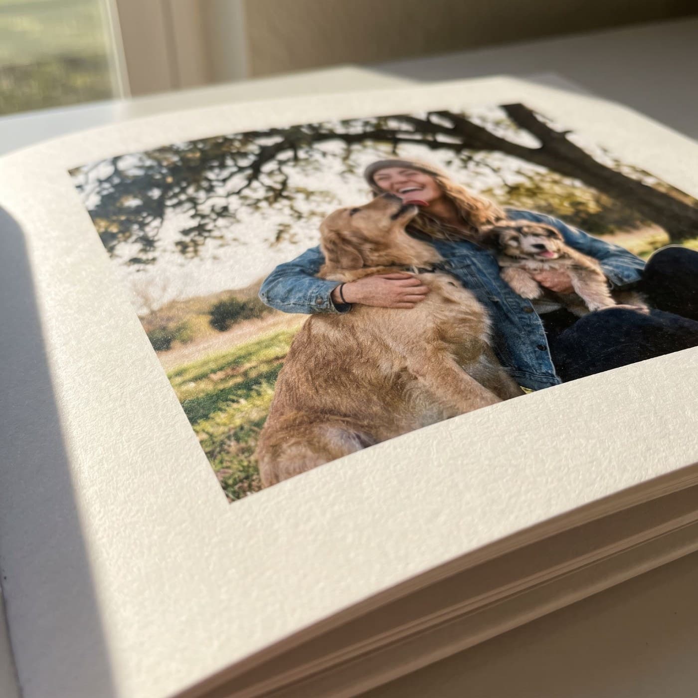 Nahaufnahme einer gedruckten Seite aus „Furry Friends"