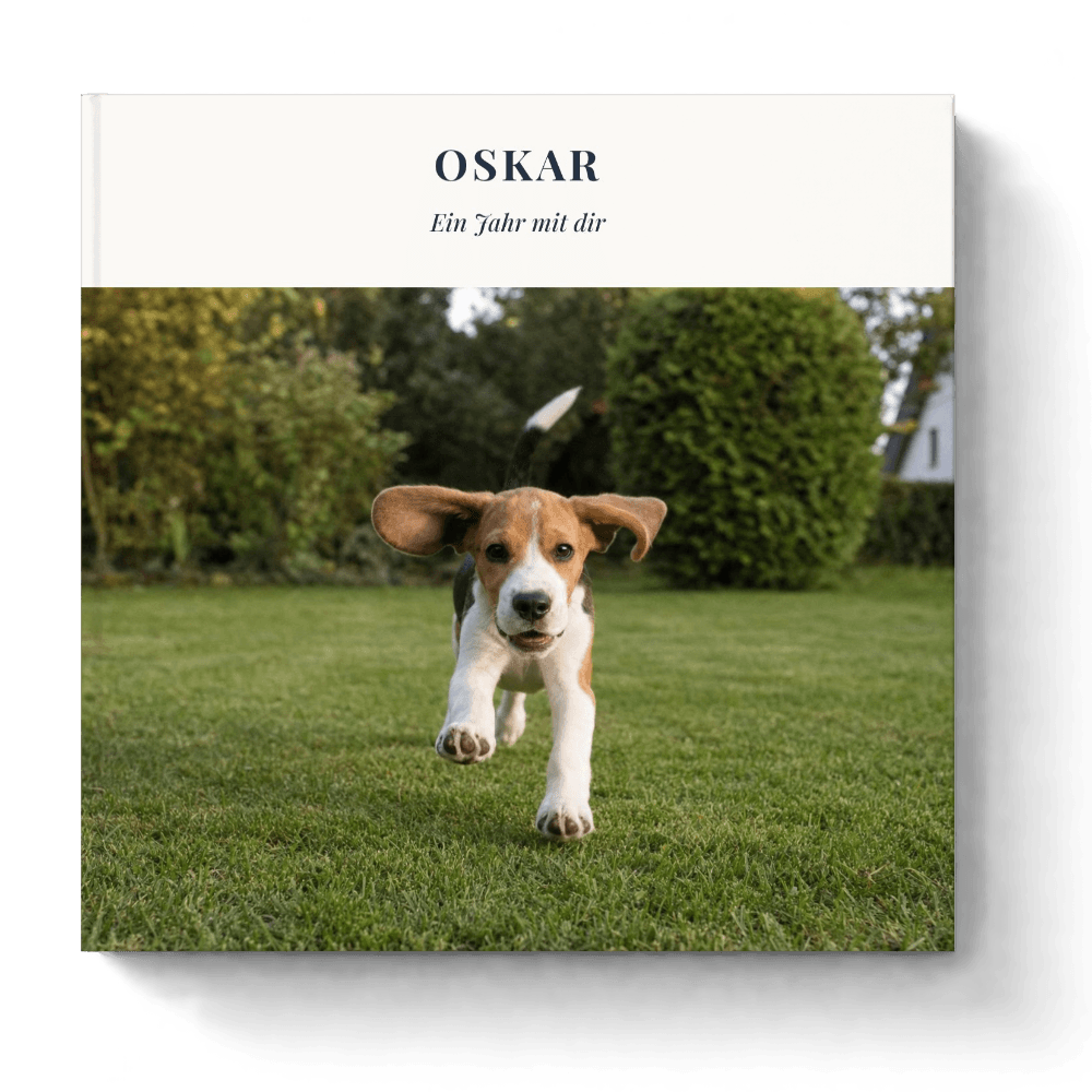 Beispiel: Fotobuch „Oskar“